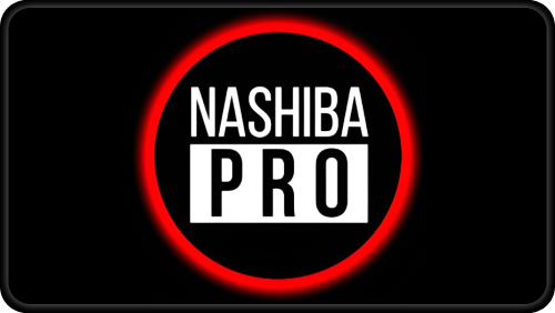 Nashiba.PRO - Traffic arbitrage training